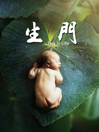 生门:纪实剧网络版