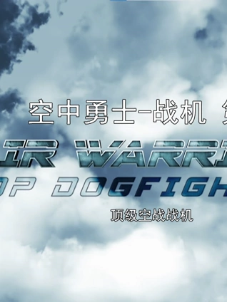 空中勇士战机7