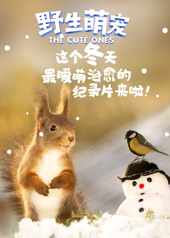 精品国产在线拍视频在线播放