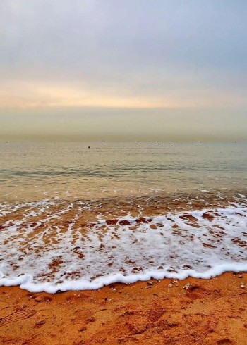 淘金客白令海大吸金9全集解说